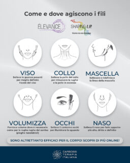 Le nostre linee di fili in PDO di ultima generazione sono la scelta ideale per chi ricerca qualità e risultati efficaci, non solo per il #viso ma anche per il corpo!

Contattaci o visita i nostri siti per scoprire di più!
👉 https://www.elevancepdo.com
👉 https://www.shapingup.it/home/

#CarbossiterapiaItaliana #ShapingUp #Elevande